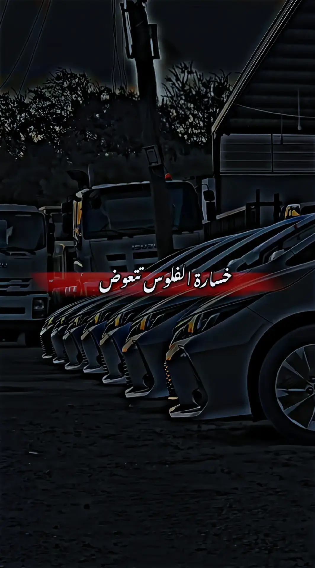 خسارة الفلوس تتعوض#محمد_ابوالفضل🖋🦅 #قنابلدناا😎🌍 