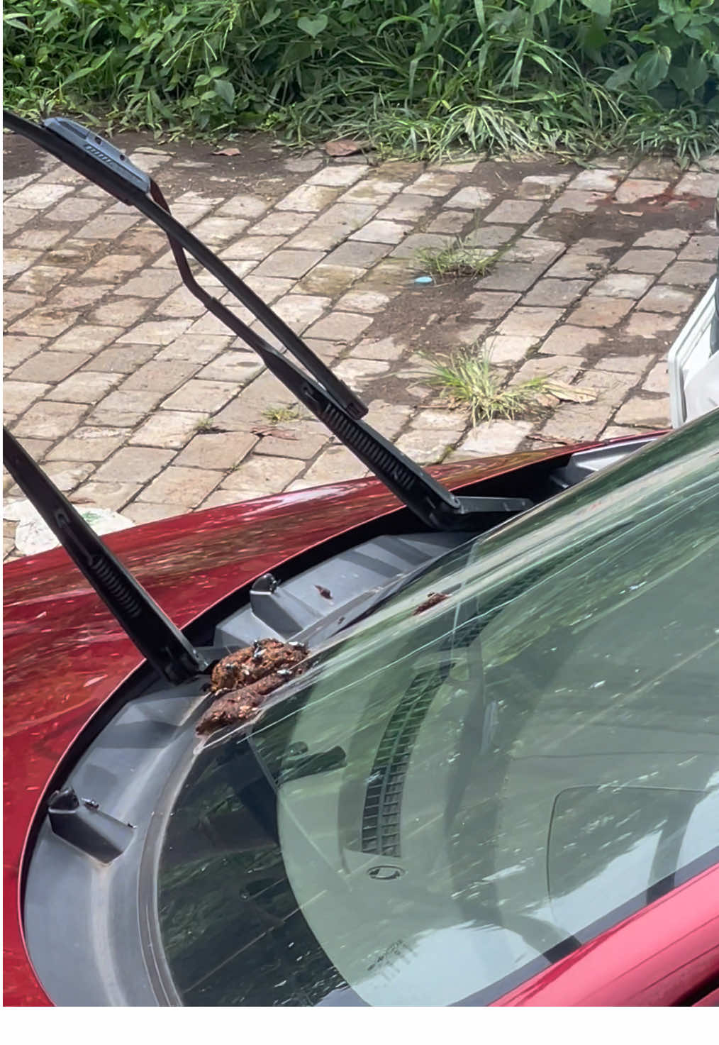 Spil ngga ya waktu kejadiannya?