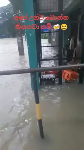 බීම එක නෑම දෙක 😅 #viral #trending #srilankan_tik_tok🇱🇰 #rainyday 