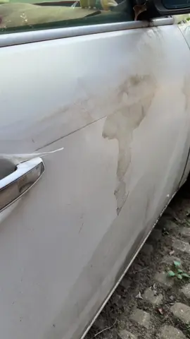 These suction cups are real, they will work#car #tool #sucker #Portabletools #tiktokshop 