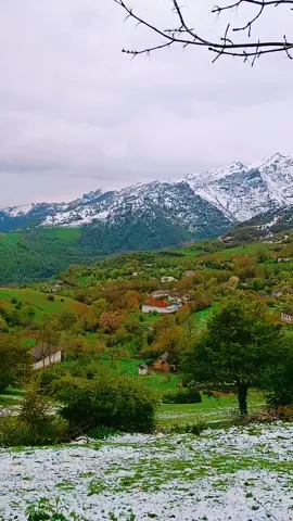 çəmə tolışə bandon Va bedən 