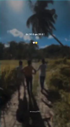 වාසනාව😌#NIM4 #viralvideo #fyp #whatsappstatus 