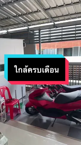 ตอนนี้สภาพร่างกายก็คือเดินคล่อง#ฟีดดดシ #เปิดการมองเห็น #ฟีนเค้ก 