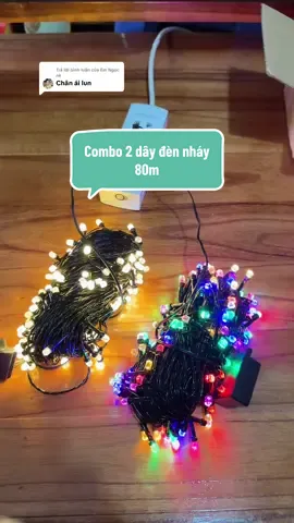 Trả lời @Em Ngọc nè combo 2 dây đèn nháy dài 80m để trang trí tết #thaoonha🏡 #dennhay #trangtrinhacua #trangtritet #tet2026 