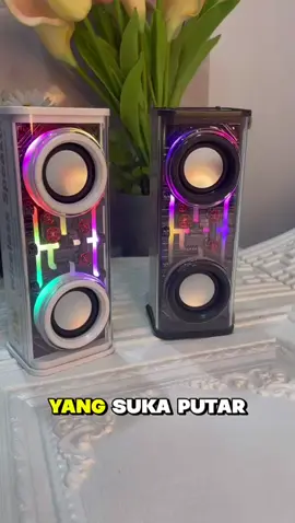 Lenyes Speaker S220 RGB 12W #speaker #lenyes #paydaysale 