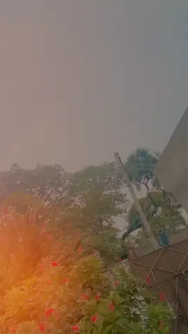 #plzviral🥺🥺🙏🙏foryoupage #unfreezemyacount #viralmyacount🙏🙏🥀🥰🥀 #viralmyallvideospleasetiktokers @It,x  Adi🫢🥀 @🦋 مازو 🦋 