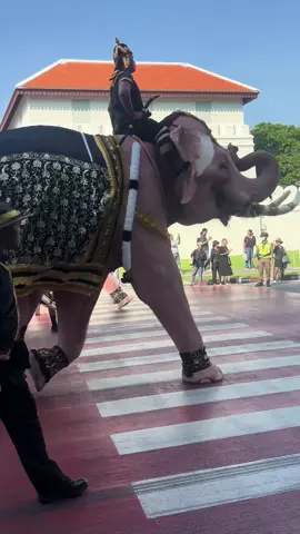 กลุ่มคชสารคู่แผ่นดิน และตัวแทนผู้เลี้ยงช้างทั่ว ประเทศ กว่า ๕๐๐ คน นำช้าง ๑๑ เชือก จากหมู่ บ้านช้างพเนียดหลวง จังหวัดพระนครศรีอยุธยา เดินขบวนเข้ากราบพระบรมศพ ในวันที่ ๒๗ พฤศจิกายน๒๕๖๘เวลา๐๘.๐๐ -๑๐.๐๐ น. ... โดยจะตั้งขบวนบริเวณด้านหน้าหน่วยบัญชาการ รักษาดินแดง (วงเวียน รด.) และเคลื่อนขบวนจากวงเวียน รด. เลี้ยวขวาไปตามถนนสนามไชย เลียบกำแพงพระบรมมหาราชวังผ่านกระทรวงกลาโหม เลี้ยวซ้ายไปตามถนนหน้าพระลานไปยังประตูมณีนพรัตน์ เพื่อทำพิธีกราบถวายบังคมพระบรมศพสมเด็จพระนางเจ้าสิริกิติ์ พระบรม ราชินีนาถ พระบรมราชชนนีพันปีหลวง #เทรนด์วันนี้ #สมเด็จพระบรมราชชนนีพันปีหลวง #ฟีด 