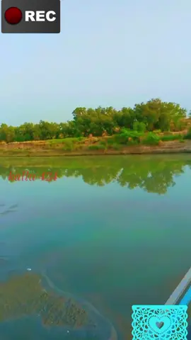 #kallu#foryoupagee #kallubrand #foryoupagee #viral_video @Biland thal 420 @👑MANKERA THAL ALA👑 @thal di shahzadi @thal de shehzadi 7161 