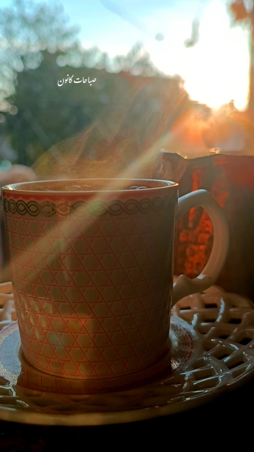 هي جبتلكن اغنية كانون  الشهر الأقرب لقلبي 🤍 #جوي #رواق #هدوء #قهوة_الصباح #ديكورات_قهوة #صباحيات #بدون_موسيقى #your_coffee #صباح #صباح_الخير #تصويري #فيروزيات #كانون #كل_ما_رجع_كانون 