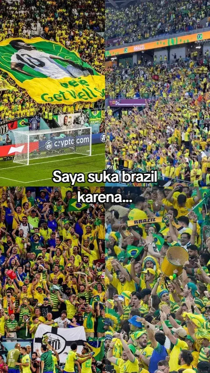 saya suka... #neyyy #fypシ #brazil🇧🇷 #trend 