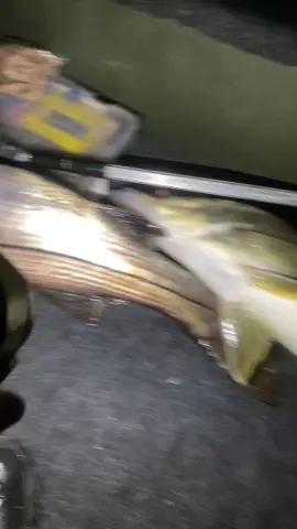 #Fishing #Fish #Florida #Snow #Life