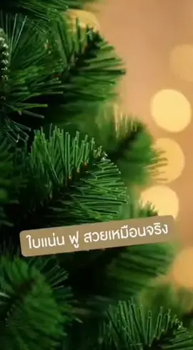 #เปิดการมองเห็น 🎄ต้นคริสต์มาสใบแน่นฟูสวย รุ่นขายดีสุดปีนี้!   ติดตั้งง่าย 5 นาที ฐานเหล็กแข็งแรงมาก   มีหลายขนาด 90-210cm ราคาโปรลดหนัก🔥   ใครกำลังหาไว้ตกแต่งบ้าน–ร้าน รีบเลย ของมีจำนวนจำกัด!