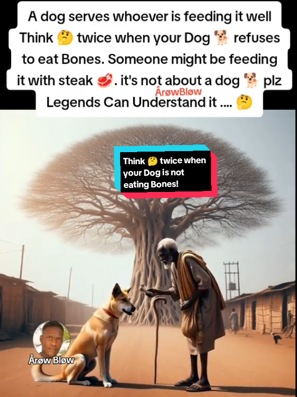 A dog serves whoever is feeding it well Think 🤔 twice when your Dog 🐕 refuses to eat Bones. Someone might be feeding it with steak 🥩. it's not about a dog 🐕 plz Legends Can Understand it .... 🤔#arowblow #motivational #quotes #foryoupage #foryou @Return of LuckyDube&BobMarley @💫𝔸̊𝕣ø𝕨 𝔹𝕝ø𝕨💫 @💫𝔸̊𝕣ø𝕨 𝔹𝕝ø𝕨💫 