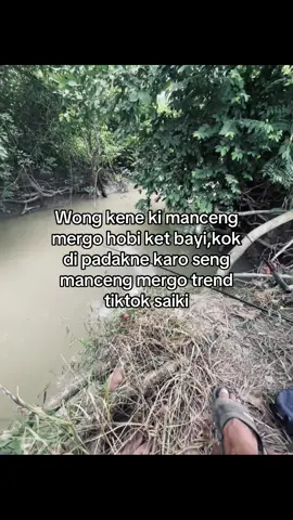 #fyp #mancing #mancingliar #kucik #setorymancing 