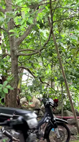 vibes ramadhan #astreagrandindonesia  #astreathailandstyle🇹🇭  #Ramadan 