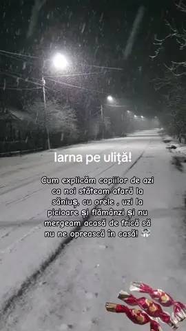 #iarna #anotimp #fyp #viral #amintiri 