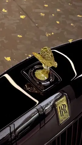 Choose your favorite Rolls Royce series 🥵🔥 wait for end 😱🥵🔥  #foryoupage #foryou #fypシ #viral #carlovers 