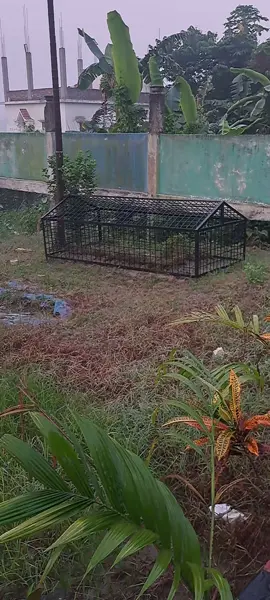 কঠিন বাস্তবতা