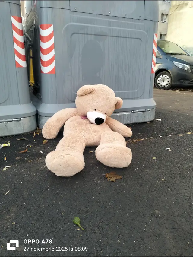 Oare nu era mai bine să ajungă la un copilaș nevoiaș 👶💔 decât să fie lăsat lângă gunoi 🚮? Oare nu ar fi putut să încălzească sau să bucure brațele unui copil 🤗✨? #GesturiMiciContează #DăruieșteBucurie #AjutăUnCopil #NuAruncaDonează #SecondChance 