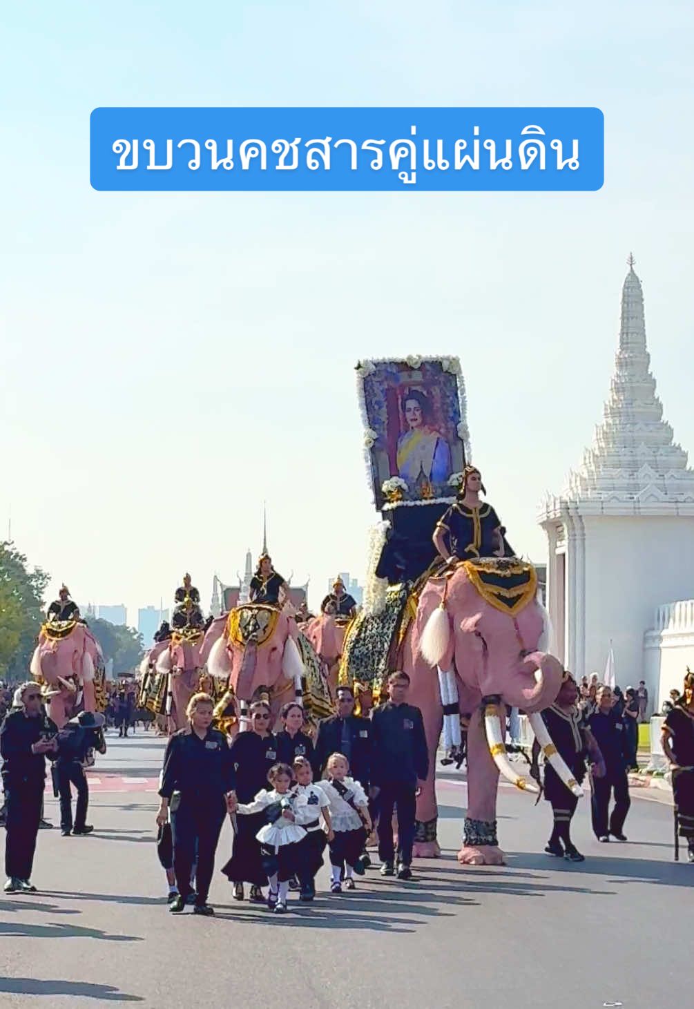 ขบวนคชสารคู่แผ่นดิน ซึ่งประกอบด้วยช้าง 11 เชือกและตัวแทนผู้เลี้ยงช้างทั่วประเทศ เพื่อถวายสักการะพระบรมศพ สมเด็จพระนางเจ้าสิริกิติ์ พระบรมราชินีนาถ พระบรมราชชนนีพันปีหลวง การเดินขบวนนี้จัดขึ้นในวันที่ 27 พฤศจิกายน 2568 #คชสารคู่แผ่นดิน #ขบวนช้าง #ช้างไทย #ถวายความอาลัย #สมเด็จพระนางเจ้าสิริกิติ์พระบรมราชินีนาถ 