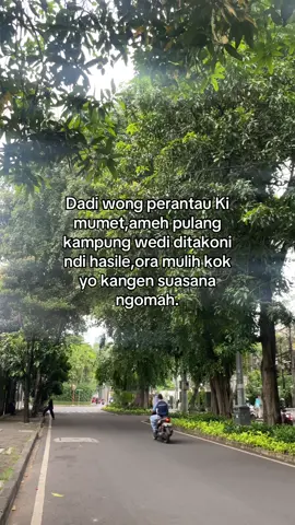 #quotes #zyxcba #lyrics 