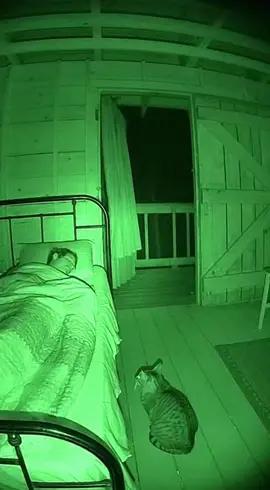 Night 02 – Nuit 02 – What walked past the door..? No one was awake when this happened.   #nightvision #paranormal #creepyfootage #tiktokhorror #realvideo