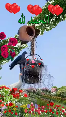 #oops_alhamdulelah #oops_alhamdulelah #يارب #🙏🙏🙏 