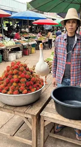 ห่านมาช่วยปอกเปลือกเงาะขาย#ตลก 