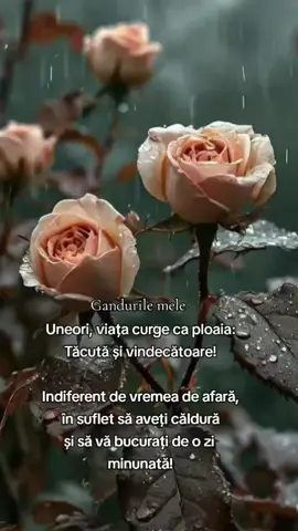 #gandurilemele #ploaia 