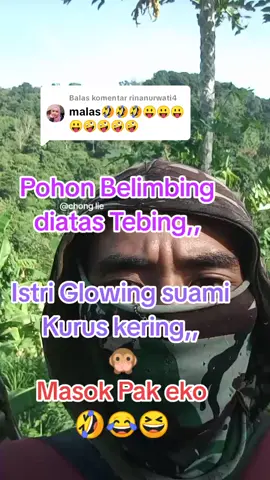 Membalas @rinanurwati4 