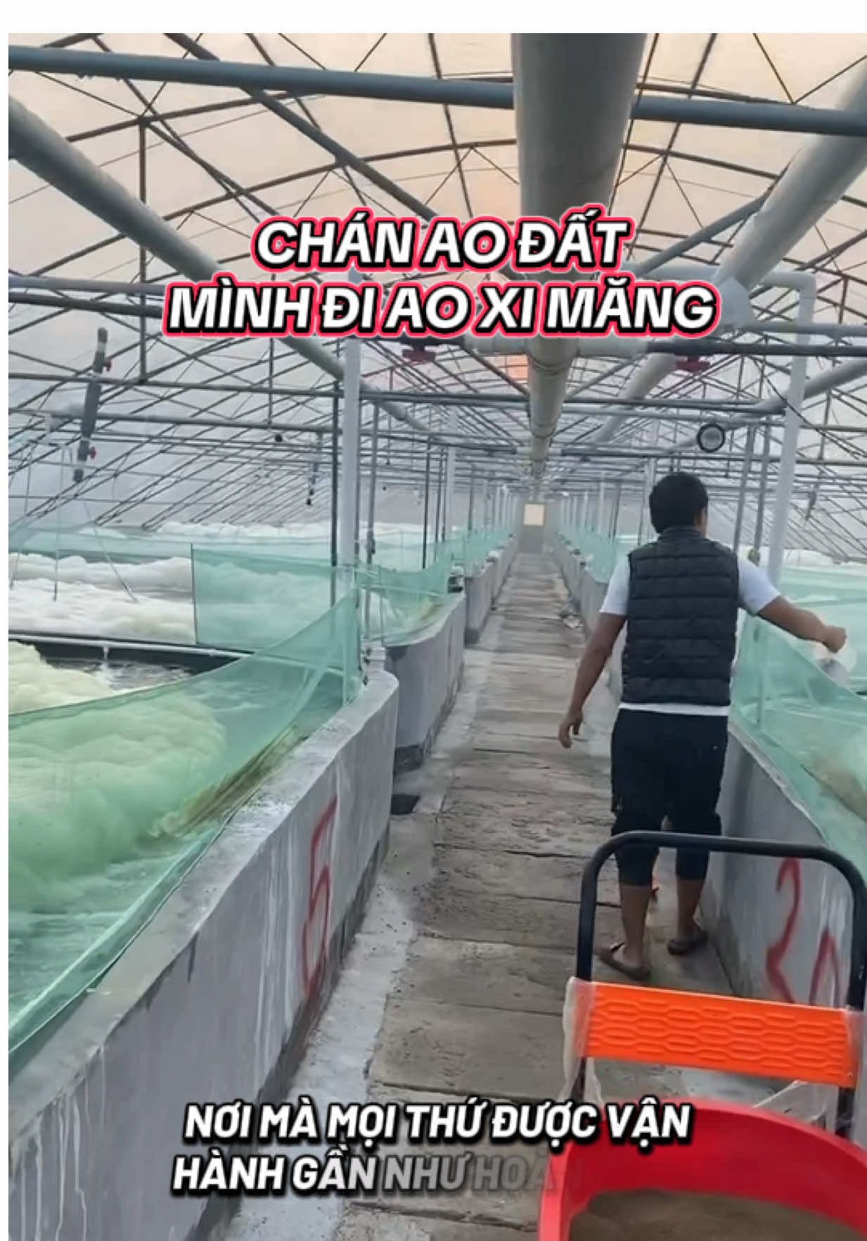 Xem Farm ao xi măng có gì?