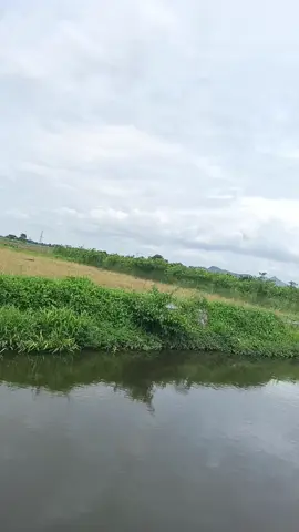 🩷#mamcingliar #pemancing #mikrofishing 