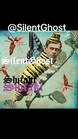 @SilentGhost_ #shitaki 