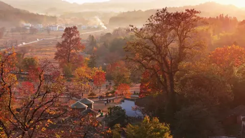 Những thử thách trong tình yêu không phải là dấu chấm hết; mà là cách ta học cách yêu một người một cách sâu sắc và trưởng thành hơn. 📍An Huy #xoaiuc #tinhyeu #khoanhkhackhiyeu #canhdeptrunghoa #trunghoa 