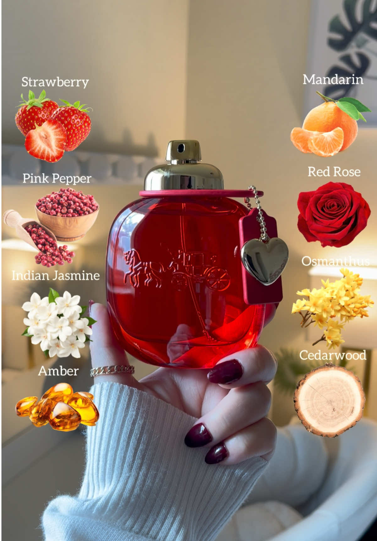 Love 🍓🌹❤️@Coach  The Perfect Fragrance For Christmas Gift🎁🎄✨   #coach#coachperfume#christmasgiftideas#perfumetiktok#tiktokshopblackfriday  