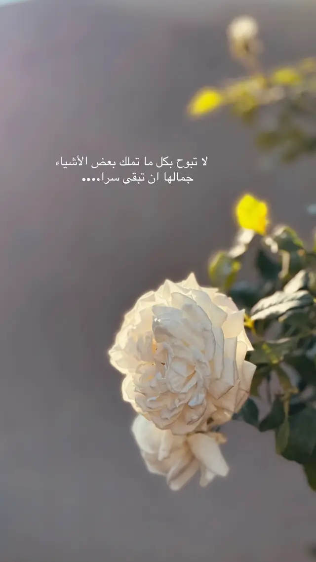 #اقتباسات_عبارات_خواطر #fyp 