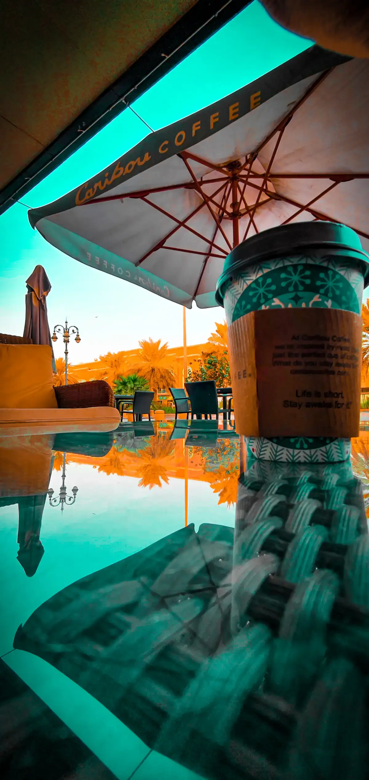 #في هذا اليوم