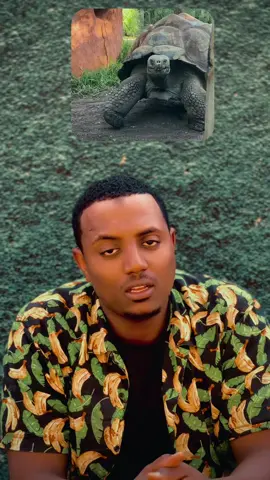 #vairal #ethiopian_tik_tok🇪🇹🇪🇹🇪🇹🇪🇹 #fyp #video 