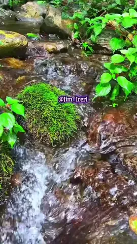 #creatorsearchinsights #Iwanttogoviral #inspirationalquotes #wisdom #kenyantiktok🇰🇪 