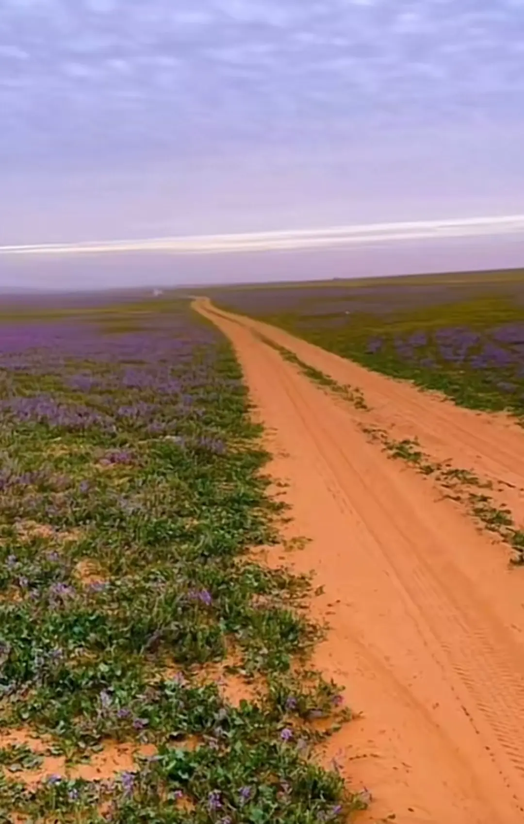 #الحدود_الشماليه_رفحاء #حايل #عرعر #لينه #اكسبلوررررررررر 