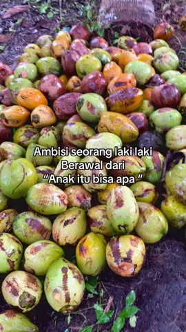 Ngeri abang tu🤣 #petanimuda #petanikelapa🌴🌴 #🌴🌴🌴🌴 #kulimuda #petaniindonesia🇮🇩🇮🇩🇮🇩🌿🌿 
