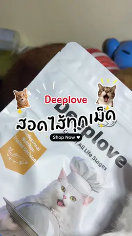 #ทาสแมว #deeplove #อาหารแมวสอดไส้ #อาหารแมวเกรดพรีเมี่ยม #อาหารแมวบำรุงขนสวย 