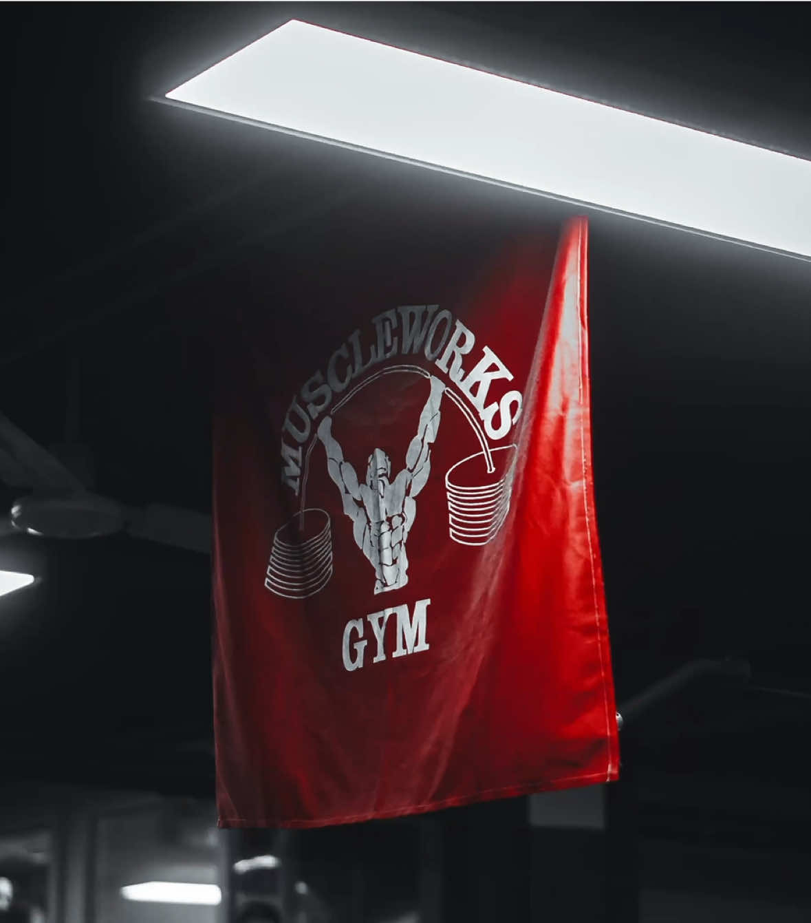 Gym shoots 🫶🏻 #editing #cinematic #bodybuilding  @Muscleworks Gym 