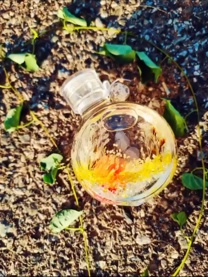 Mapsi  Herbarium #Homedeco #Flower decoraton