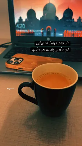 اک ملاقات کا جادو کہ اترتا ہی نہیں تری خوشبو مری چادر سے نہیں جاتی ہے#viral #sound #trending #video#tealover