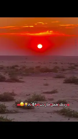 #تصويري_احترافي_الاجواء👌🏻🕊😴 