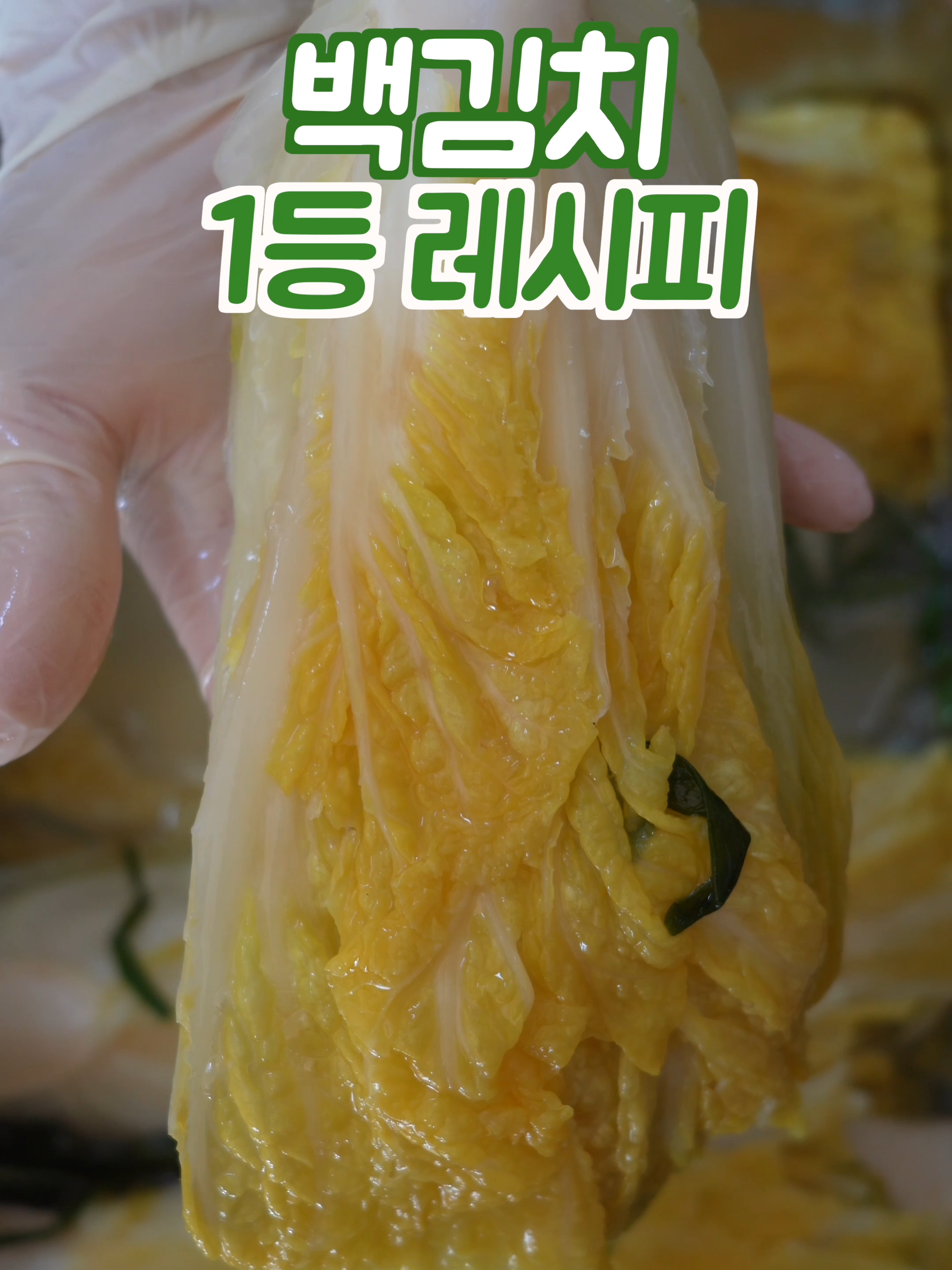 백김치 어렵게 하지마세요 이 방법은 쉽고 맛있습니다 #백김치 #김장 #Recipe #koreanfood