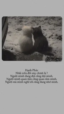 #xuhuong #nhactamtrang 