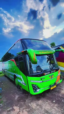 selasa pada prepare ke lampungnesia 4 gajah hijauuu 💚#fypdong #fyp #sewabuskediri #4u #viral 