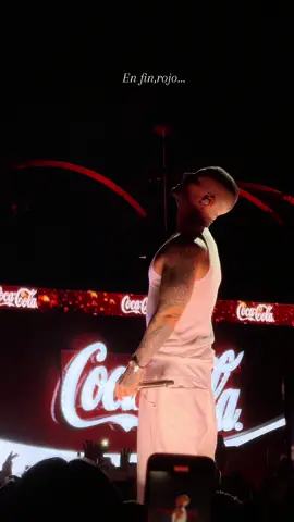 #rojo #jbalvin #fyp #flowfest 